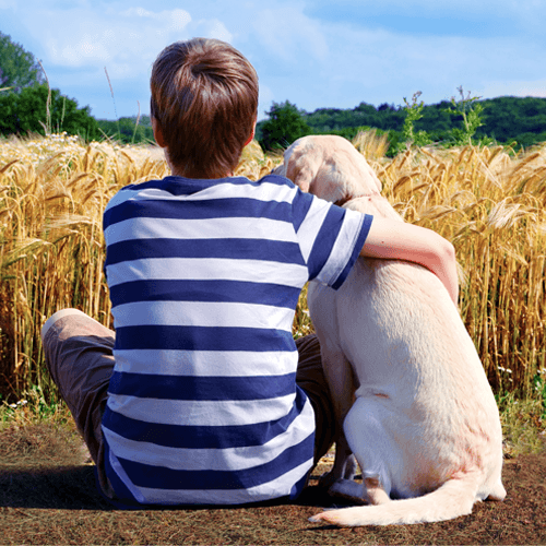 Какую собаку завести для ребенка