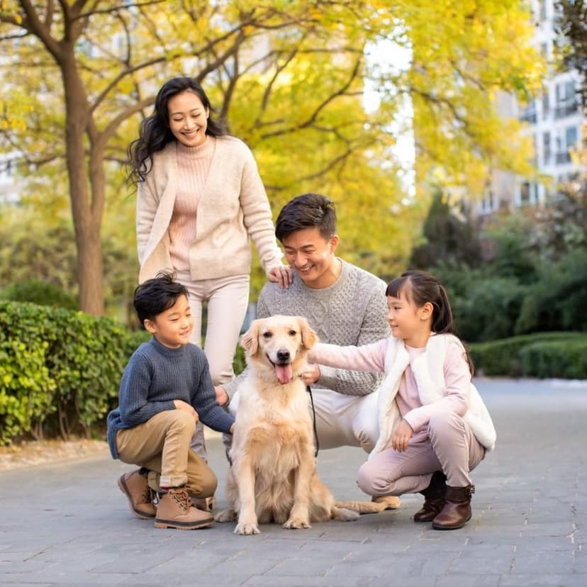 Как уговорить родителей завести собаку