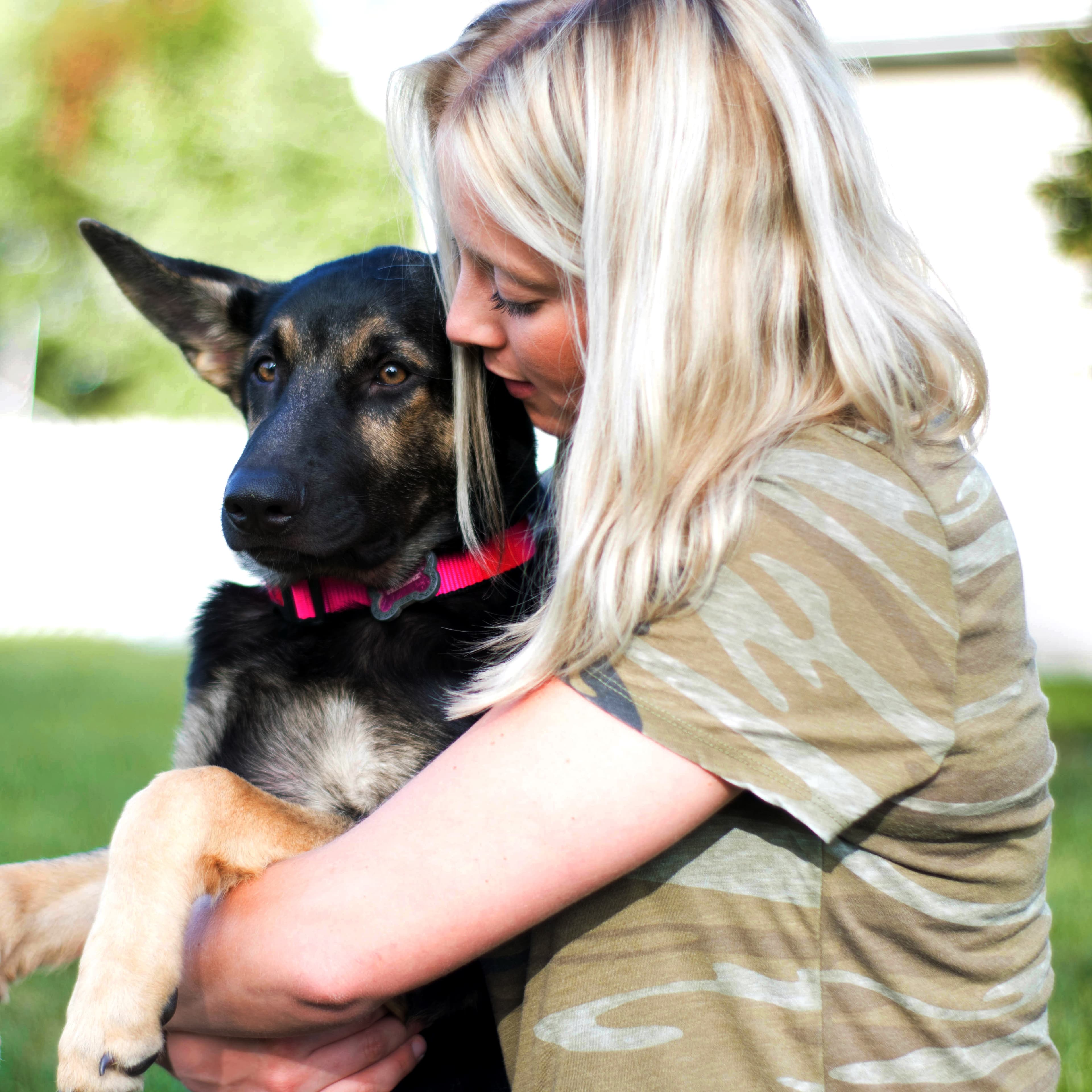 Как подстричь когти собаке самостоятельно в домашних условиях