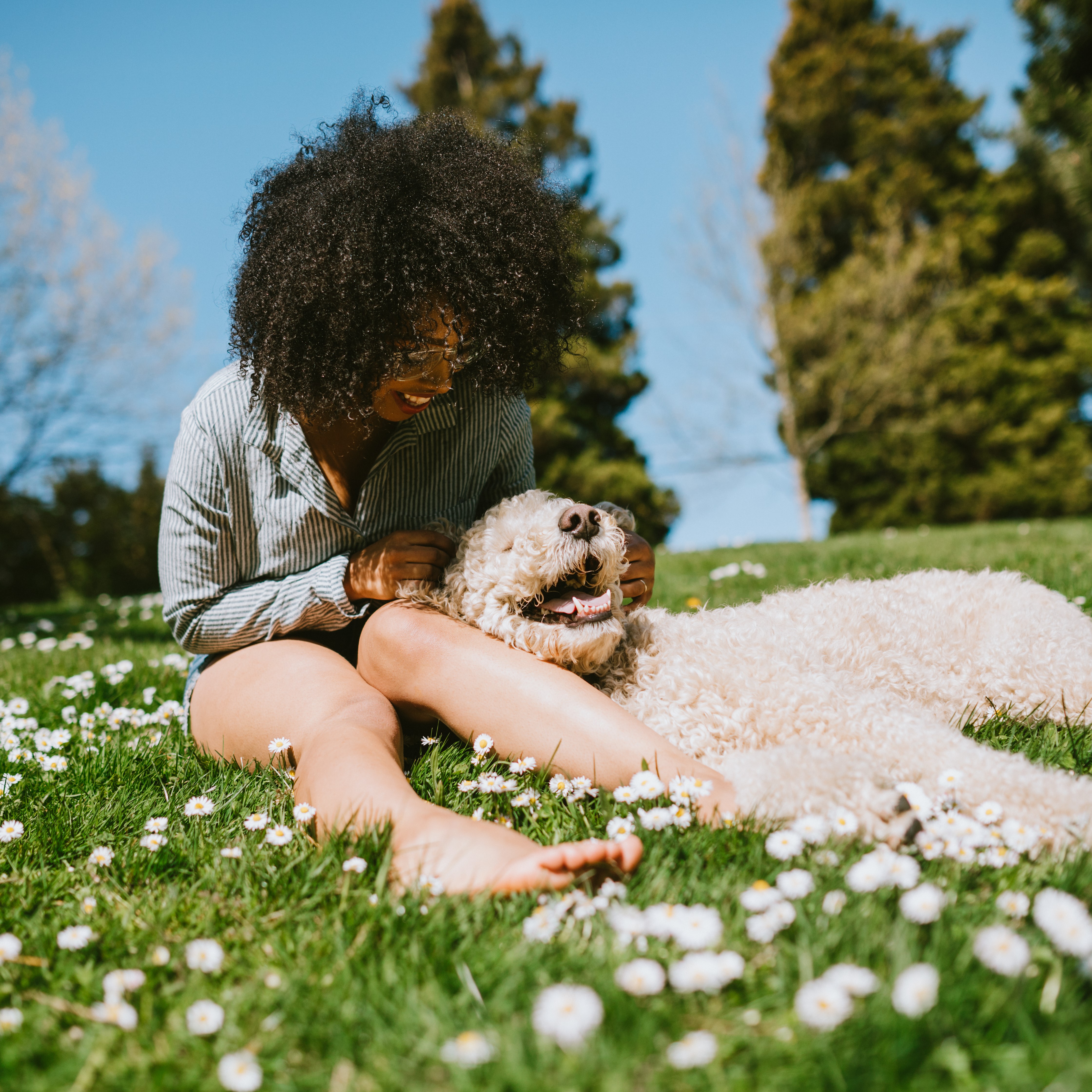 Щенок или взрослая собака: кого лучше завести 🐕 - FriendForPet