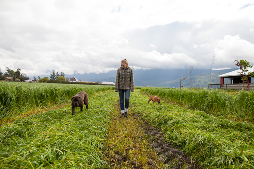 Опасности самовыгула