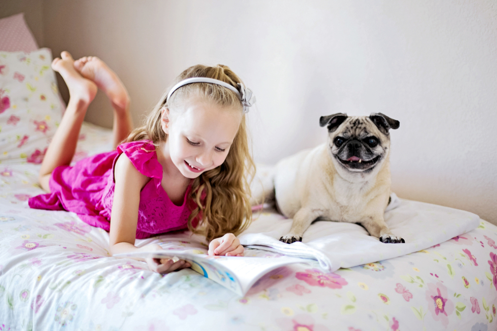 Плюсы завести собаку