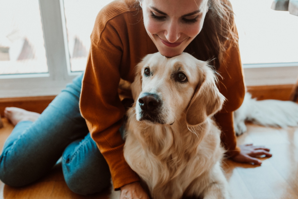 Собака с хозяйкой