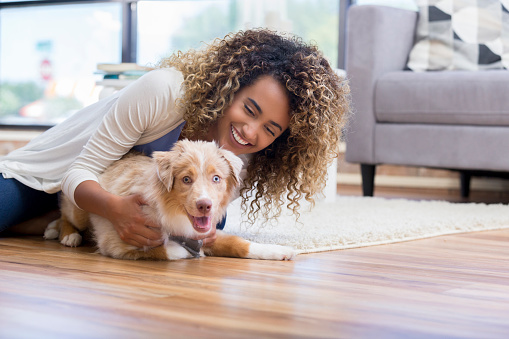 Какую породу собак лучше завести начинающему собаководу — FriendForPet