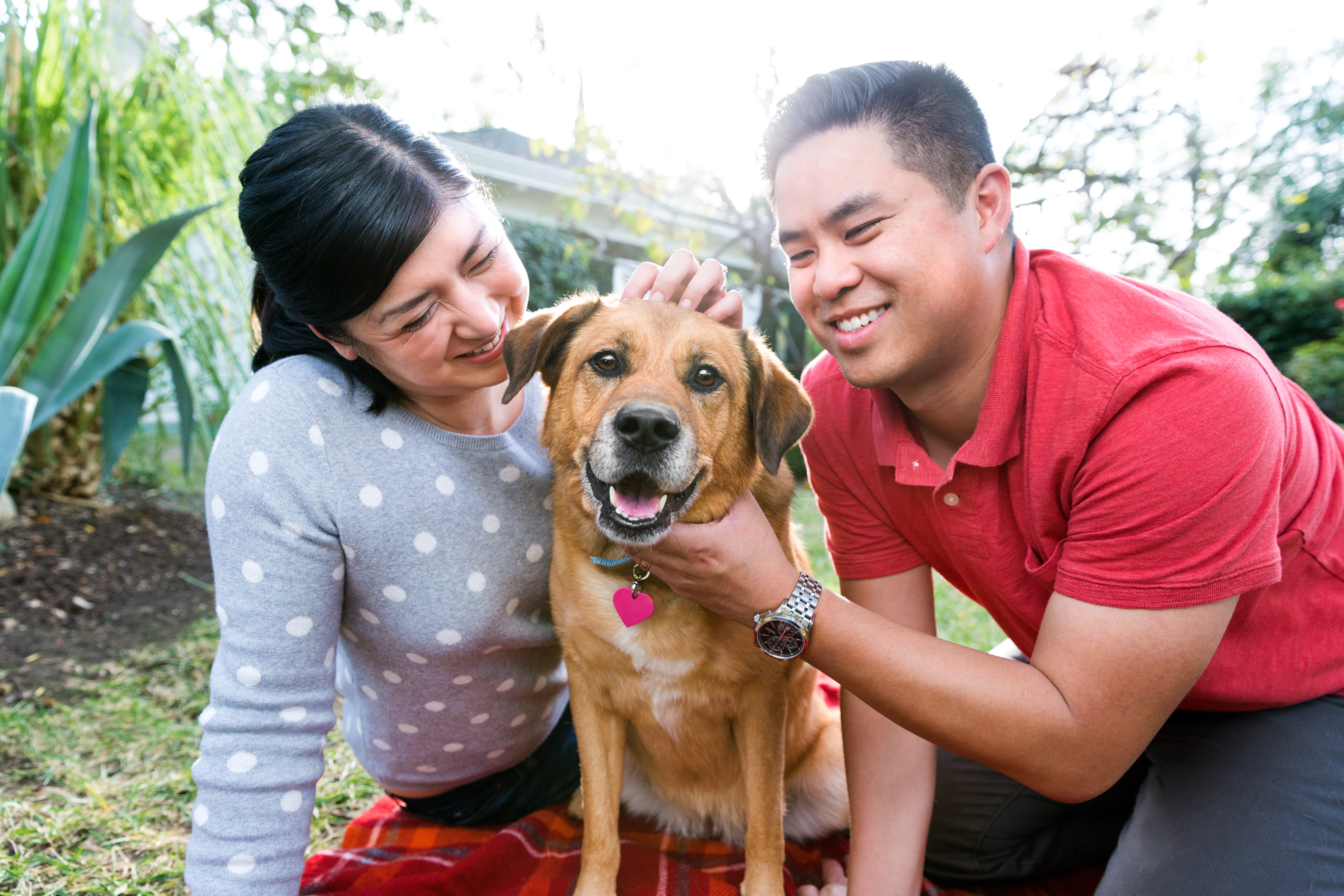 Собака и хозяева