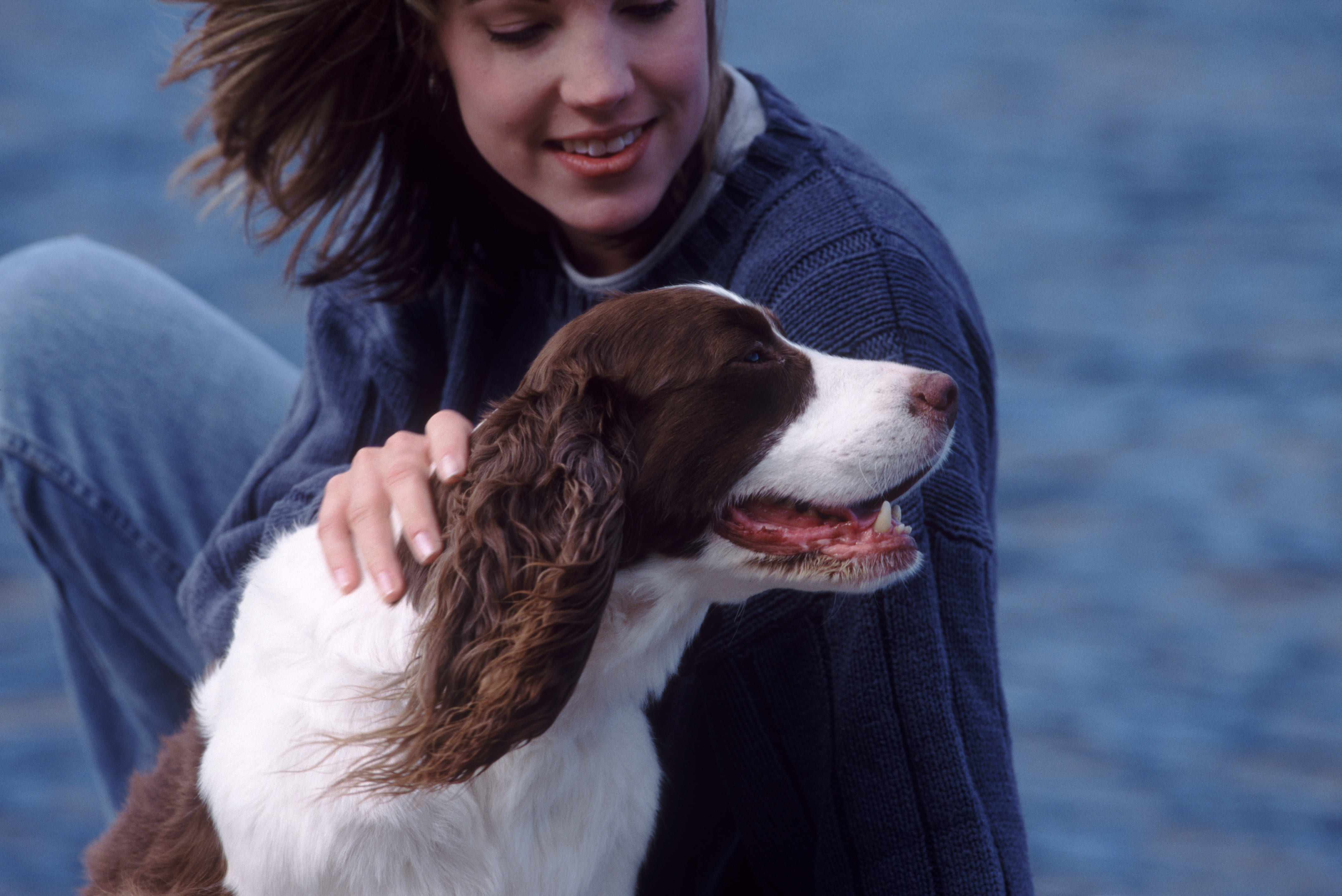 Имена и клички для собак девочек: красивые, русские | FriendForPet